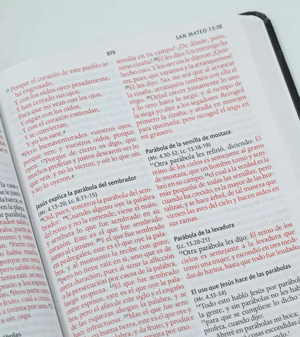 Image of Biblia RVR 1960 León de Juda Tamaño Manual Tapa Dura