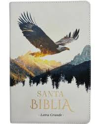 Biblia RVR 1960 Tamaño Manual Letra Grande Colección Supreme Águila sobre Montañas Símil Piel