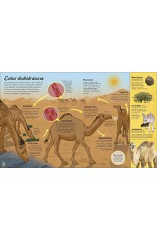 Image of La Vida del Agua