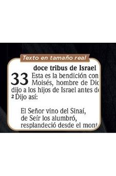 Biblia RVR 2020 Letra Grande León de Judá Verde Rústica