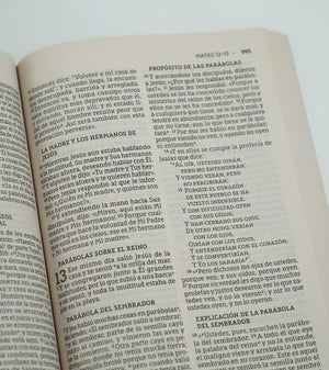 Biblia NBLA Letra Grande Edición Económica