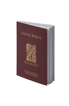 Image of Biblia RVR 2020 Granate Rústica
