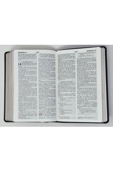 Image of Biblia RVR 1960 Letra Grande Tamaño Manual Negro Vinilo