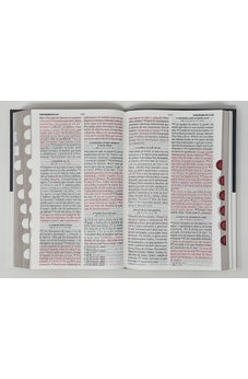 Biblia RVR 1960 Letra Grande Tamaño Manual Tapa Flex Espada con Índice