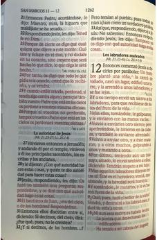 Image of Biblia RVR 1960 Letra Grande Palabras de Jesús en Rojo con Concordancia Rvr056Clgpjrtiz Tapa Imitación Cuero Triotone Rosa Canto Plateado Cierre Índice