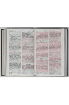 Biblia RVR 1960 Letra Grande Tamaño Manual Tapa Flex Duotone Marron Beige