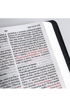 Image of Biblia RVR 1960 Letra Grande Tamaño Manual Cordero de Dios Tapa Dura
