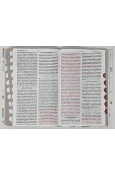 Image of Biblia RVR 1960 Letra Grande Tamaño Manual Tapa Flex Puntos con Índice