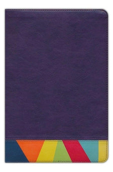 Biblia RVR 1960 de Estudio Arco Iris Símil Piel Morado Multicolor