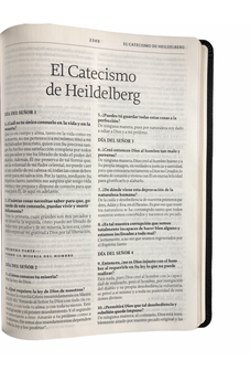 Image of Biblia LBLA de Estudio de la Reforma Gris Claro Símil Piel