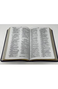 Image of Biblia RVR 1960 Letra Grande Tamaño Manual Lila