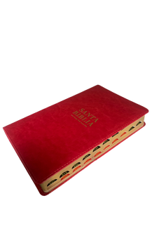 Biblia RVR 1960 Letra Grande Tamaño Manual Rosa con Índice
