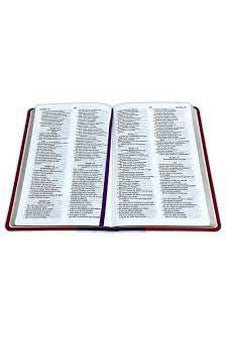 Biblia RVR 2020 Lila Rojo