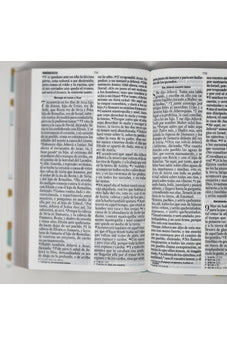 Biblia RVR 1960 Letra Grande Tamaño Manual Tapa Flex Puntos