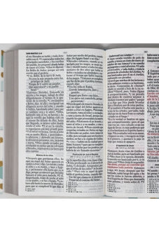 Biblia RVR 1960 Letra Grande Tamaño Manual Tapa Flex Puntos