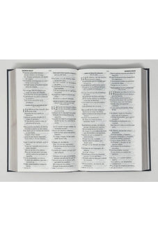 Image of Biblia RVR 1960 Letra Grande Tamaño Manual Tapa Flex León