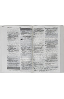 Image of Biblia RVR 1960 de Promesas Letra Gigante Negro Rústica