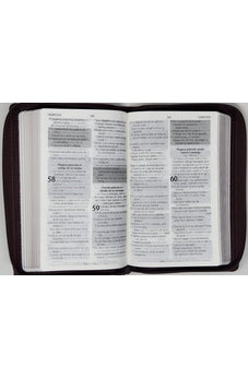 Biblia RVR 1960 de Promesas Letra Grande Tamaño Manual Marron Líneas Simil Piel con Cierre