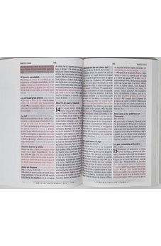 Image of Biblia RVR 1960 de Promesas Letra Grande Marron Líneas Rústica