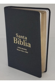 Biblia RVR 1960 Letra Grande Tamaño Manual Negro Vinilo