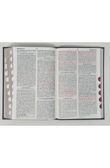Image of Biblia RVR 1960 Letra Grande Tamaño Manual Tapa Flex León con Índice
